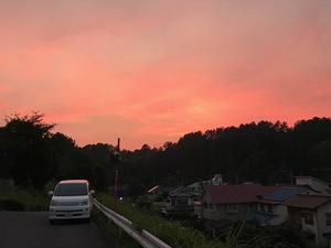 ふだん見上げることのない空