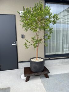 お手製の花台❀